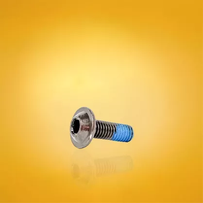 Śruba do buta FR Skates UFR Mounting Screw 18,5 mm metaliczna