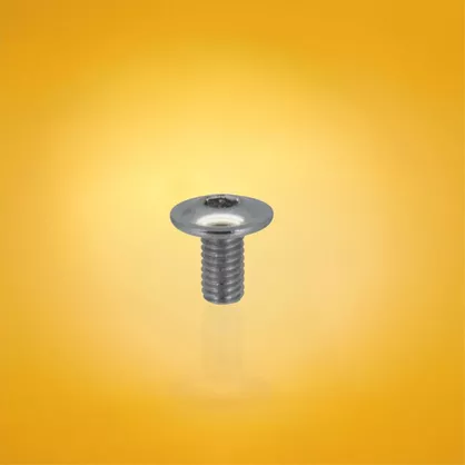 Śruba do buta FR Race Boot Mounting Screw srebrna