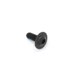 Śruba do buta SEBA Frame Mounting Screw CJ