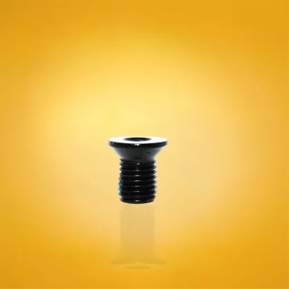 Śruba cholewki FR Skates Cuff Button Screw czarna