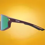 Okulary przeciwsłoneczne UVEX Skyryse Burgundy Matt / Mirror Rose