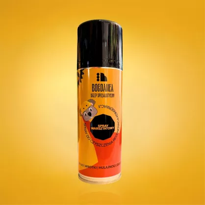 Spray do czyszczenia i konserwacji rolek, łyżew i wrotek Bogdanca